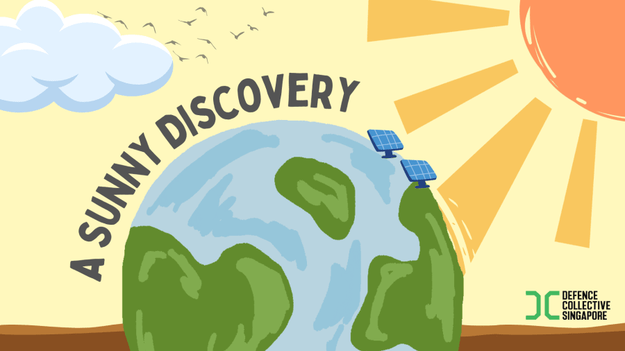 A Sunny Discovery 1
