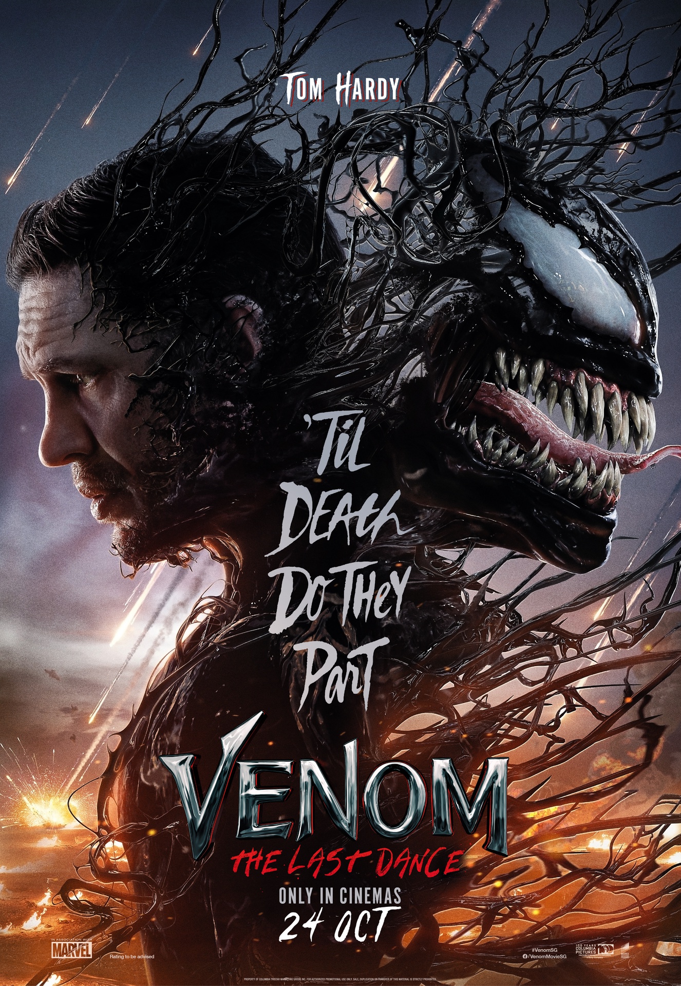 [TIC10ADU01SINGLE] Venom : The Last Dance (2D)